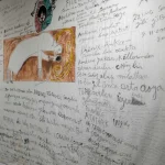 sergi alanından bir görünüm