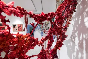 sergiden enstelasyon görünümü